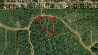 0000 Eagle Falls Boulevard, Trinity, TX 75862