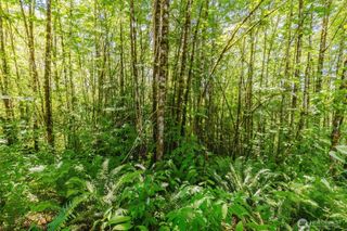 11 Lot Cassie Place NW, Poulsbo, WA 98370