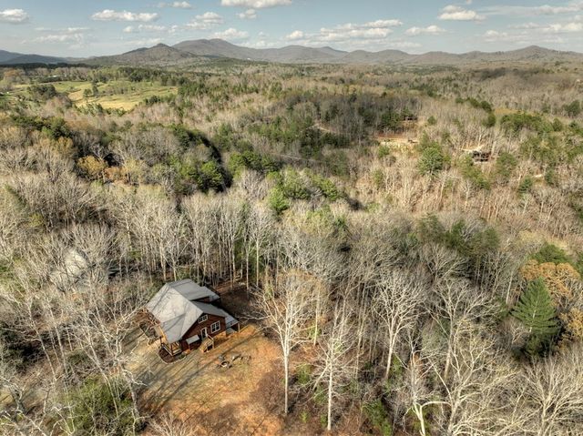 250 Wolf Creek Mountain Road, Mineral Bluff, GA 30559