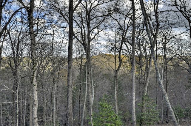 250 Wolf Creek Mountain Road, Mineral Bluff, GA 30559