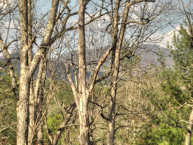 250 Wolf Creek Mountain Road, Mineral Bluff, GA 30559