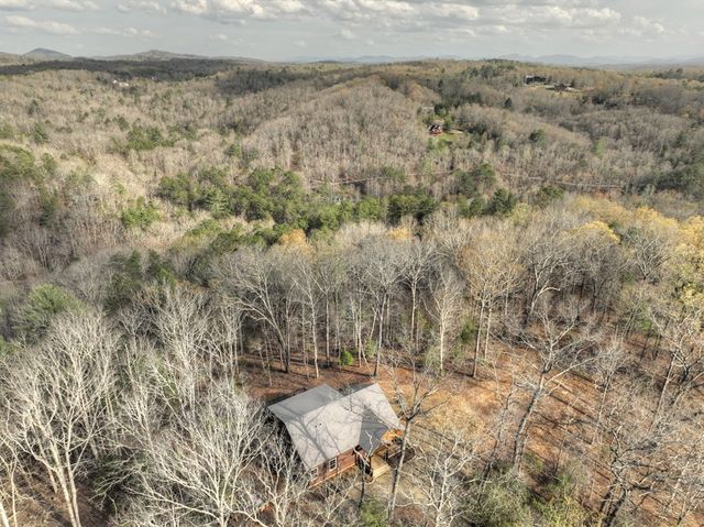 250 Wolf Creek Mountain Road, Mineral Bluff, GA 30559