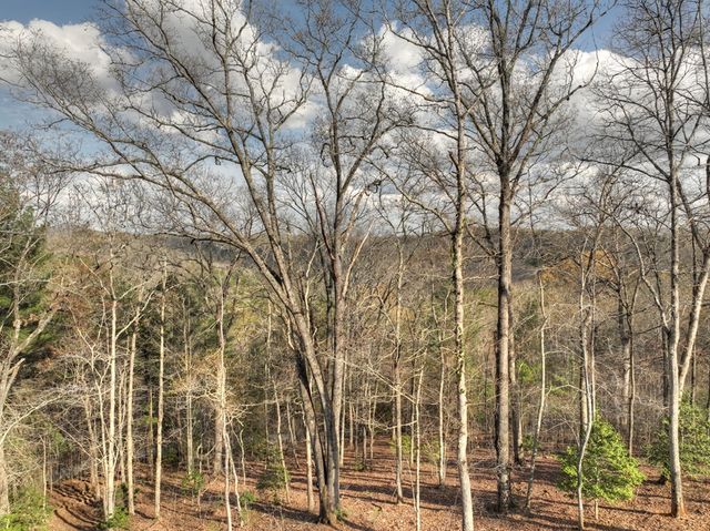 250 Wolf Creek Mountain Road, Mineral Bluff, GA 30559