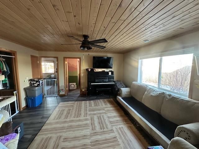 913 4th Street SE, Bemidji, MN 56601