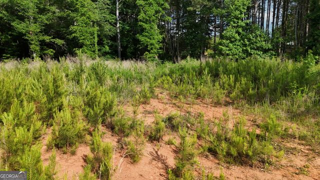 1 PARKER DRIVE Parker Drive, Statham, GA 30666