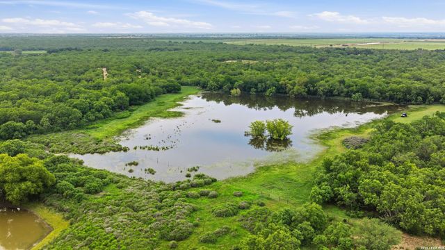 3833 County Road 2880, Bigfoot, TX 78005