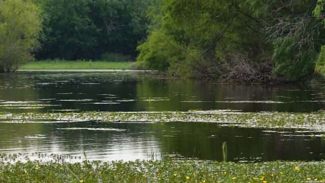 3833 County Road 2880, Bigfoot, TX 78005