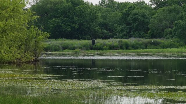 3833 County Road 2880, Bigfoot, TX 78005