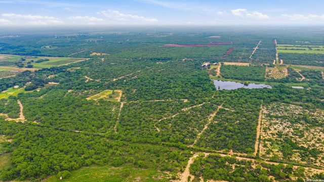 3833 County Road 2880, Bigfoot, TX 78005