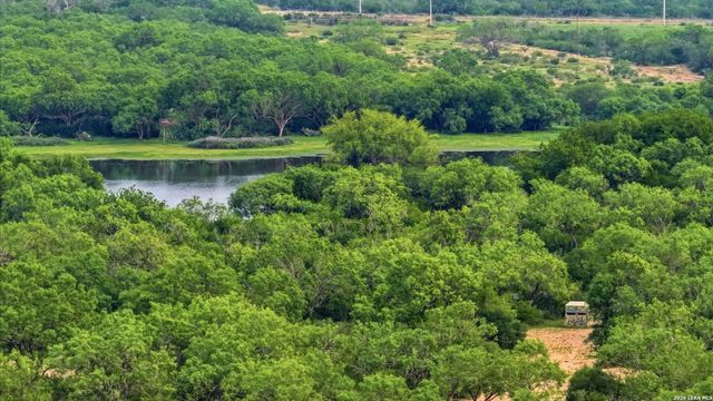 3833 County Road 2880, Bigfoot, TX 78005