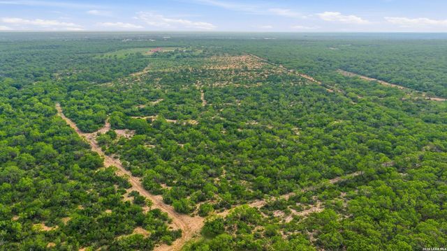 3833 County Road 2880, Bigfoot, TX 78005