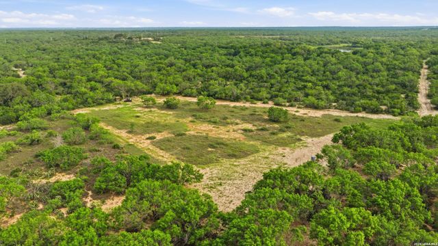 3833 County Road 2880, Bigfoot, TX 78005