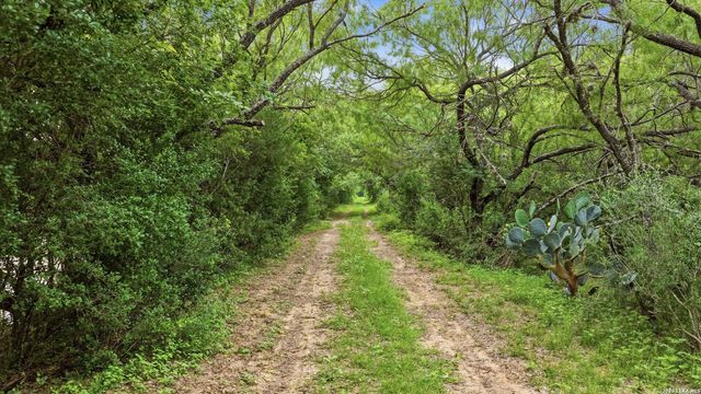 3833 County Road 2880, Bigfoot, TX 78005