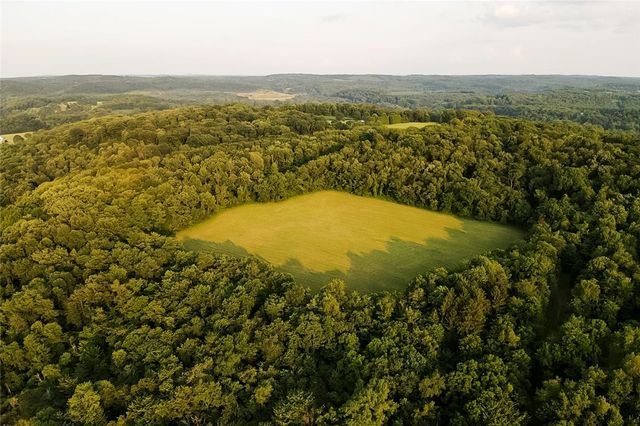 221 Mccaughtry Run Rd, Darlngtn Twp, PA 16115