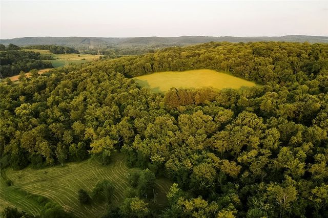 221 Mccaughtry Run Rd, Darlngtn Twp, PA 16115