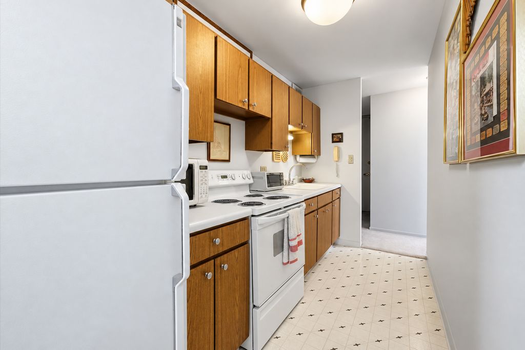 100 E Walton Street 42B, Chicago, IL 60611 — photo 5