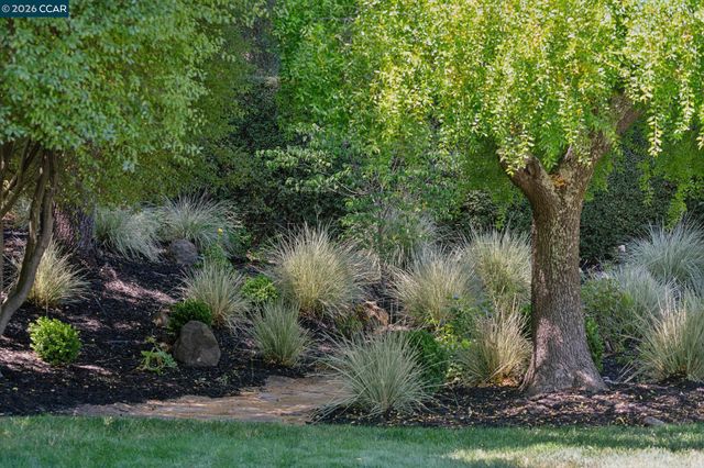 247 Corliss Dr, Moraga, CA 94556