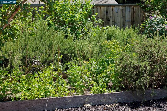 247 Corliss Dr, Moraga, CA 94556