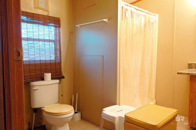 1377 Caney Loop, Lillian, AL 36549