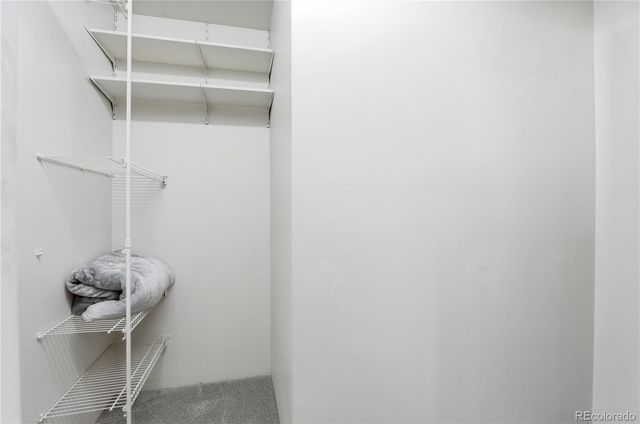 1390 Everett Court 209, Lakewood, CO 80215