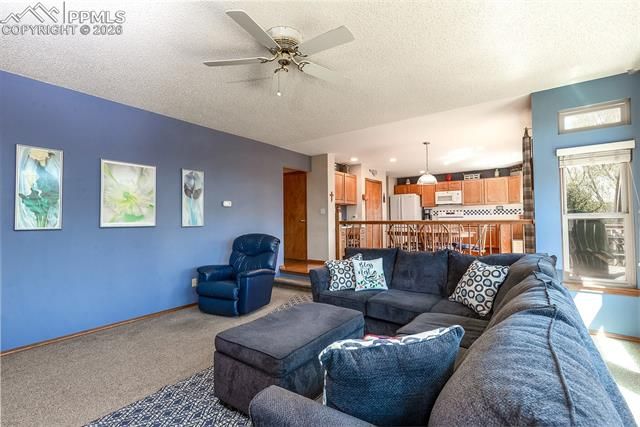 6155 Moorfield Avenue, Colorado Springs, CO 80919