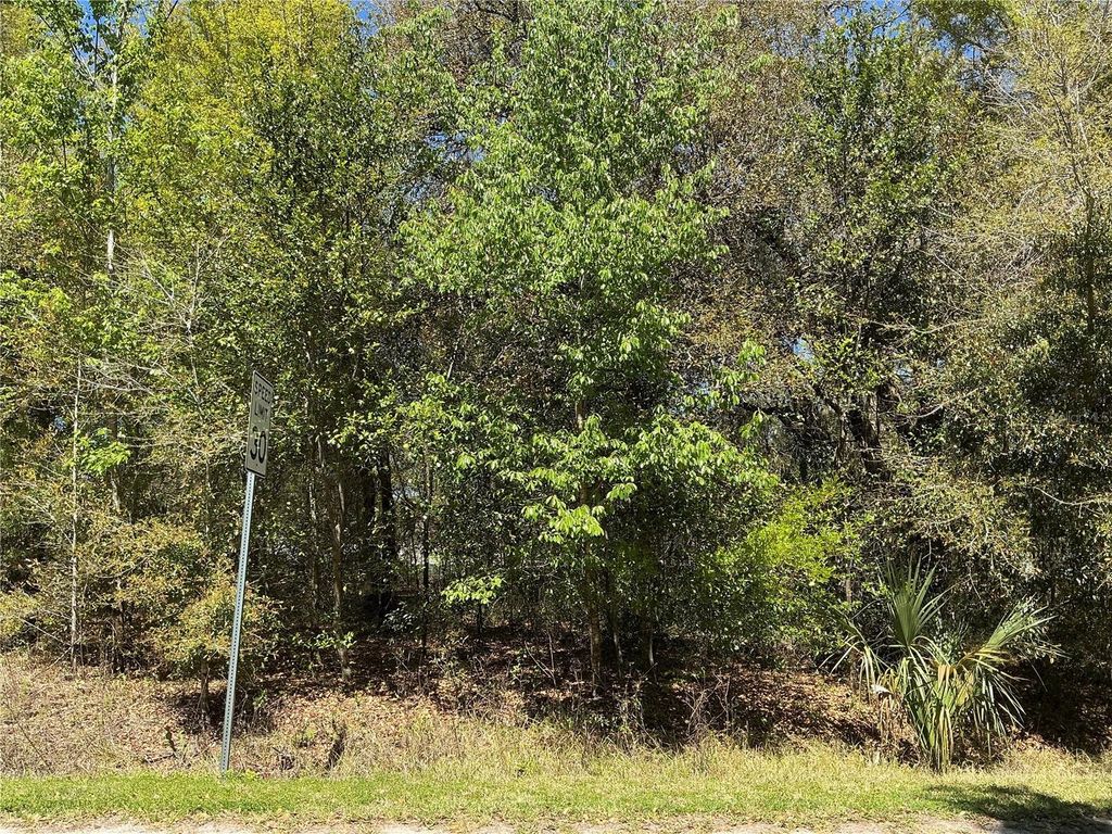 0 SE 139TH LANE, Summerfield, FL 34491
