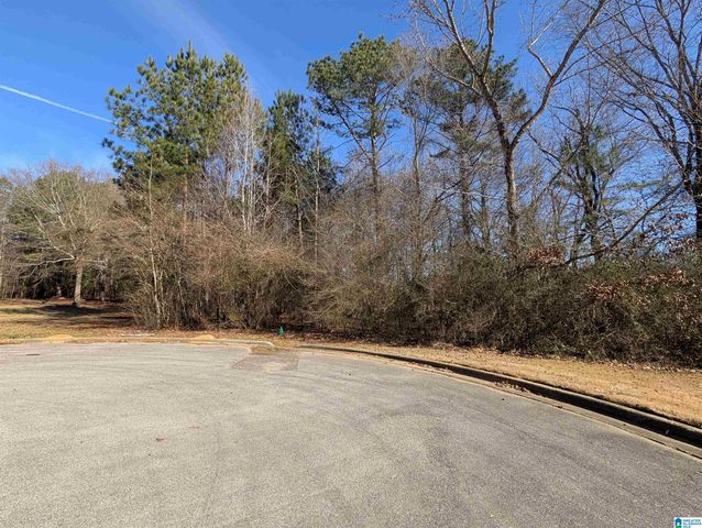 0 MANOR PLACE, Oxford, AL 36203