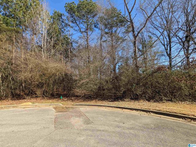 0 MANOR PLACE, Oxford, AL 36203