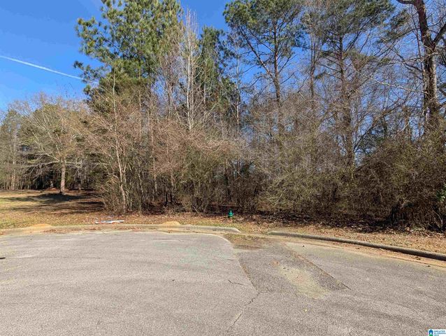 0 MANOR PLACE, Oxford, AL 36203