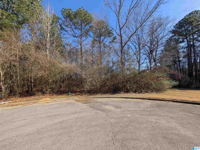 0 MANOR PLACE, Oxford, AL 36203