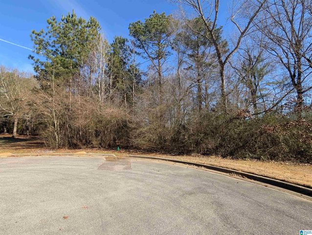 0 MANOR PLACE, Oxford, AL 36203