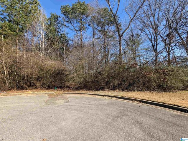 0 MANOR PLACE, Oxford, AL 36203