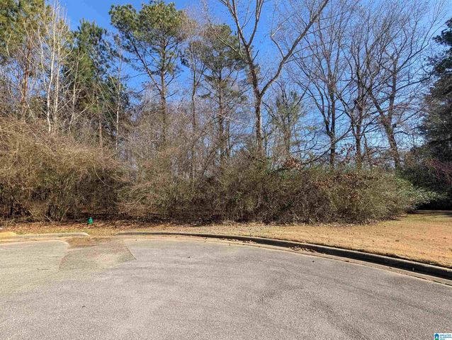 0 MANOR PLACE, Oxford, AL 36203