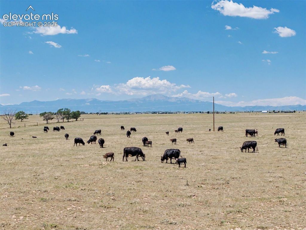 24500 E Garrett Road, Calhan, CO 80808 — photo 5