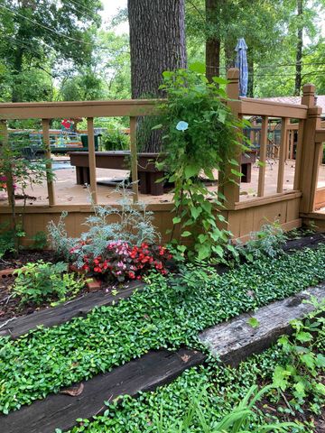 10447 Hancock Rd, Tyler, TX 75707