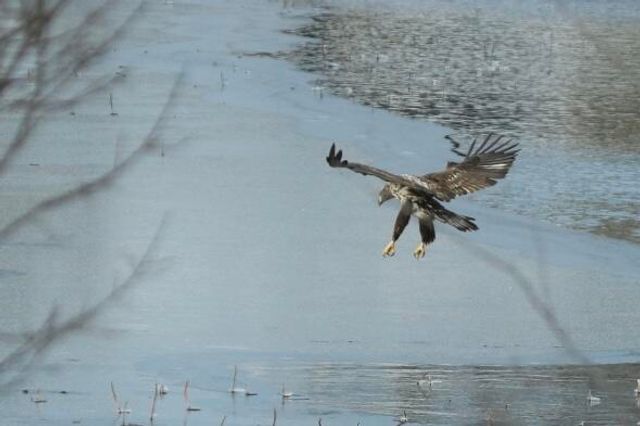 7930 S GINN LN, Columbia, MO 65201