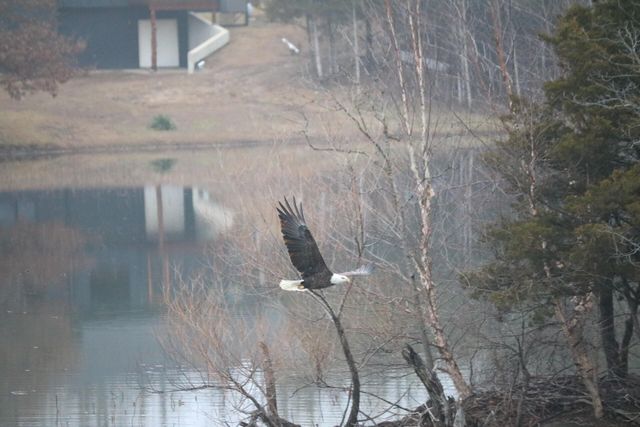 7930 S GINN LN, Columbia, MO 65201