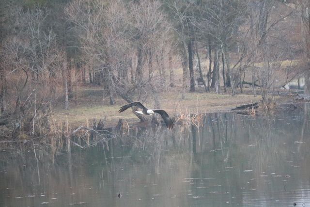 7930 S GINN LN, Columbia, MO 65201