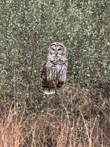 7930 S GINN LN, Columbia, MO 65201