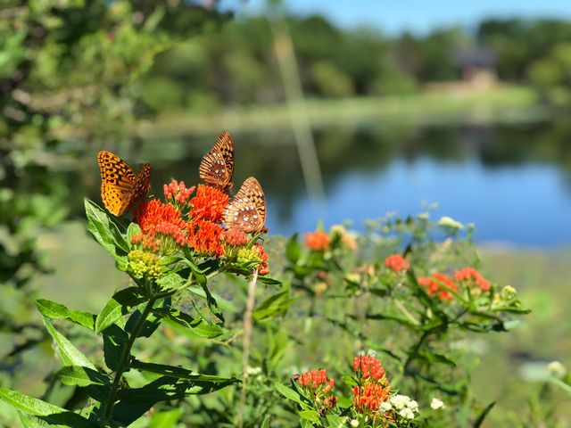 7930 S GINN LN, Columbia, MO 65201