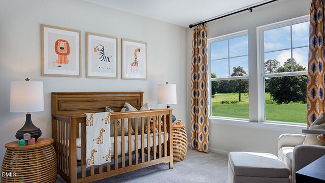 257 Blue Butterfly Drive, Angier, NC 27501