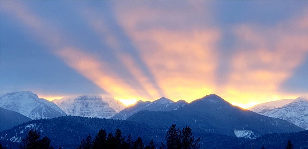 584 Mack Road, Libby, MT 59923 photo 128