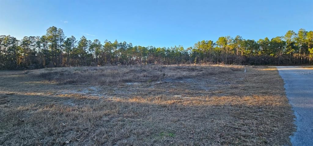 SW 136TH STREET, Ocala, FL 34473