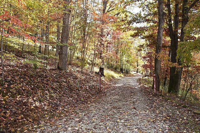 1067 Spring Branch Road, Wayne, WV 25570