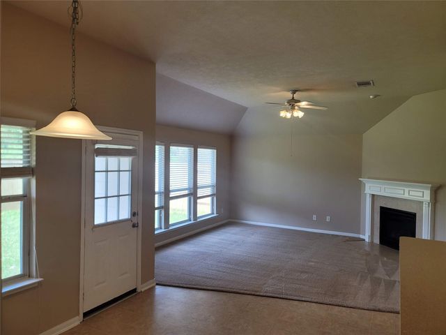 1010 Hannah Falls Lane, Fresno, TX 77545