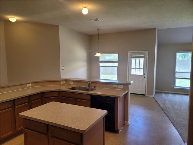 1010 Hannah Falls Lane, Fresno, TX 77545