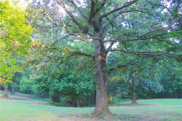 18440 Beaver Hollow Road, Garfield, AR 72732