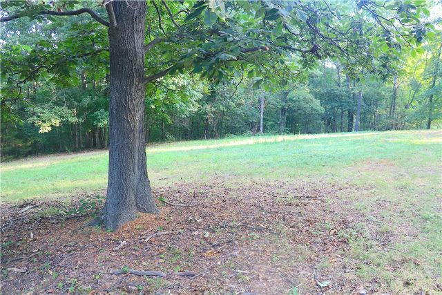 18440 Beaver Hollow Road, Garfield, AR 72732