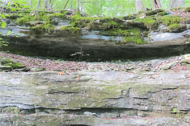 18440 Beaver Hollow Road, Garfield, AR 72732