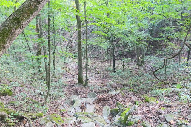 18440 Beaver Hollow Road, Garfield, AR 72732